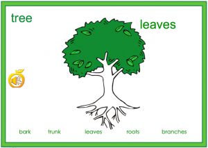 Interactive: Notebook: ESL: Vocabulary–Create a Tree (with audio)