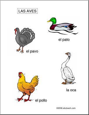 Spanish: Poultry Poster