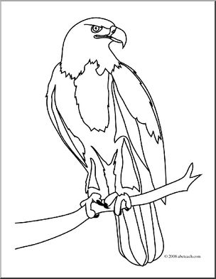 Clip Art: Bald Eagle 1 (coloring page)