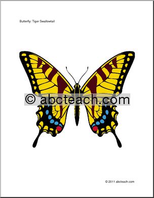 Bulletin Board: Butterfly Theme Graphic Set (color )