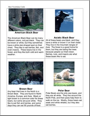 Fact Cards: Bears