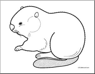 Clip Art: Baby Animals: Beaver Kit (coloring page)