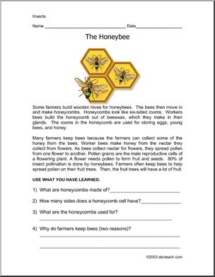 Comprehension: Bees (elementary) | Abcteach