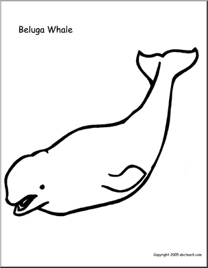 Coloring Page: Beluga Whale