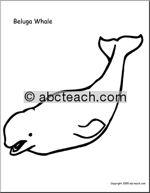 Coloring Page: Beluga Whale