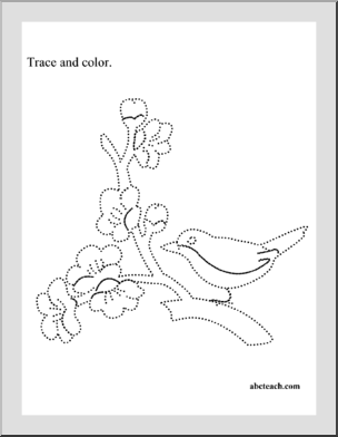 Trace and Color: Bird