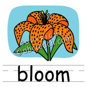 Clip Art: Basic Words: Bloom Color (poster)