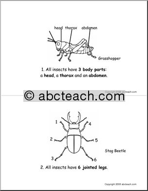 Booklet: Insects (elementary) -b/w
