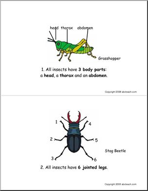 Booklet: Insects (elementary)