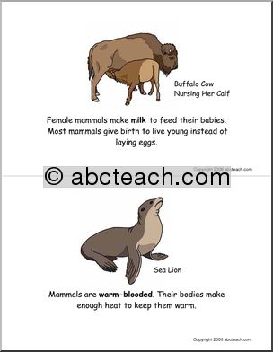 Booklet: Mammals (elementary) -color