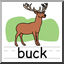 Clip Art: Basic Words: Buck Color (poster)