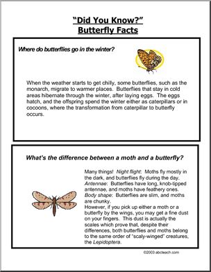 Did You Know? Butterflies (color)