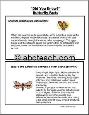 Did You Know? Butterflies (color)