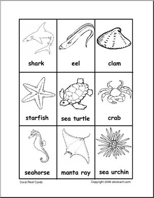 Vocabulary Cards: Coral Reef (b/w)
