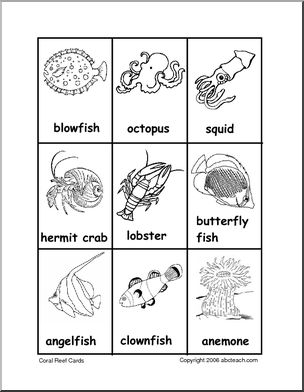 Vocabulary Cards: Coral Reef (b/w) | Abcteach