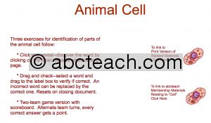 Interactive: Notebook: Science–Animal Cell (upper el-middle-high)
