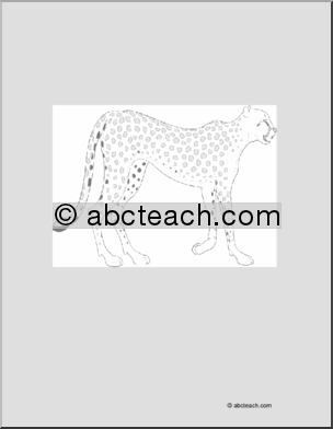 Coloring Page: Cheetah