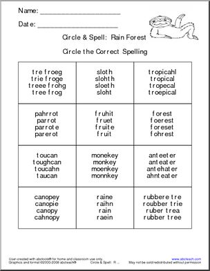 Rain Forest (boxes)’ Circle & Spell