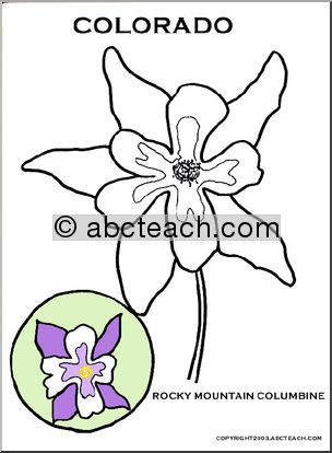 Colorado:  State Flower – White and Lavender Columbine