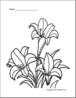 Coloring Page: Lilies