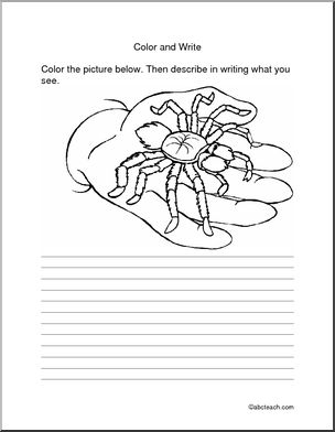 Spider (elem) Color and Write