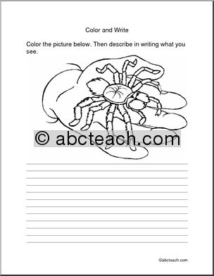 Spider (elem) Color and Write