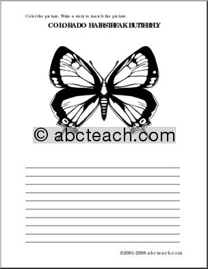 Colorado Hairstreak Butterfly (elem) Color and Write