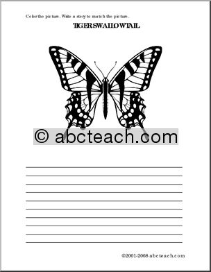 Tiger Swallowtail Butterfly (elem) Color and Write