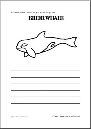 Killer Whale (primary) Color and Write