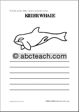 Killer Whale (primary) Color and Write