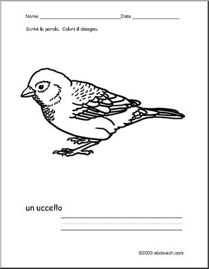 Italian: Foglio da Colorare–uccello