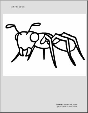 Coloring Page: Ant
