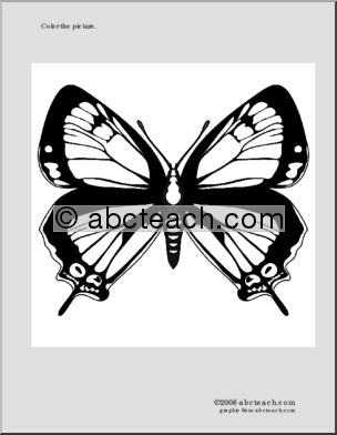 Coloring Page: Colorado Hairstreak Butterfly