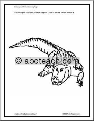 Coloring Page: Chinese Alligator