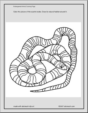 Coloring Page: Scarlet Snake