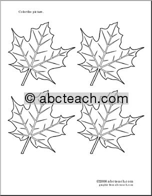 Coloring Page: Maple Leaves