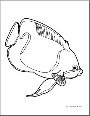 Clip Art: Fish: Bluegirdled Angelfish (coloring page)