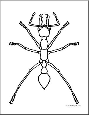 Clip Art: Insects: Bulldog Ant (coloring page)