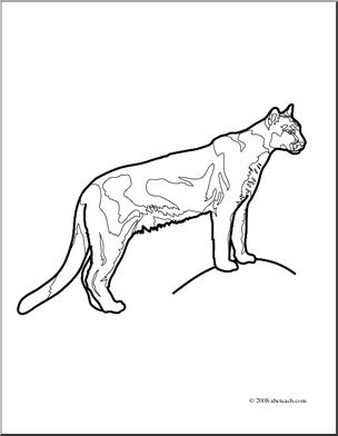 Clip Art: Big Cats: Cougar (coloring page)