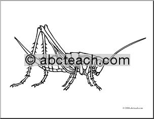 Clip Art: Insects: Cricket (coloring page)