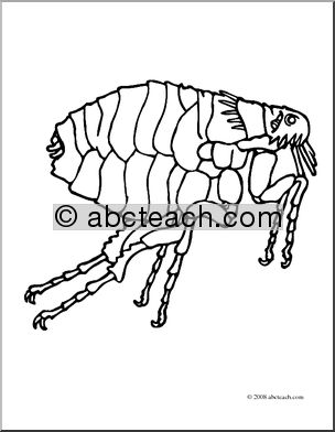 Clip Art: Insects: Flea (coloring page)