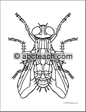 Clip Art: Insects: Housefly (coloring page)