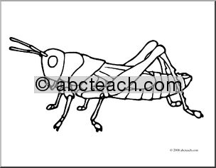 Clip Art: Insects: Grasshopper (coloring page)
