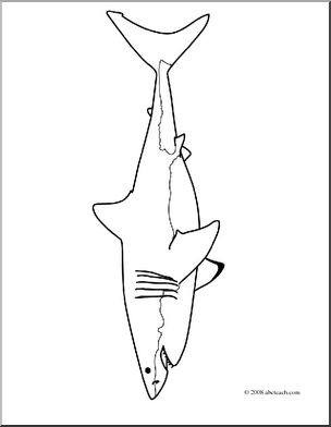 Clip Art: Sharks: Great White (coloring page)