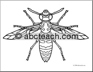 Clip Art: Insects: Hornet (coloring page)