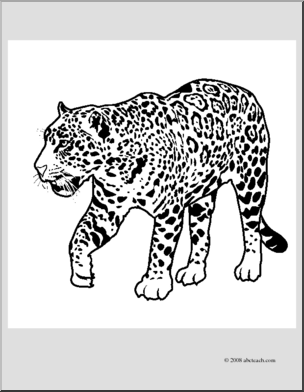 Clip Art: Big Cats: Jaguar (coloring page)