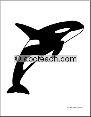 Clip Art: Whale: Killer Whale (coloring page)