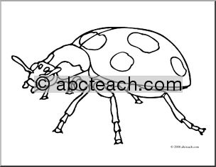 Clip Art: Insects: Ladybug (coloring page)