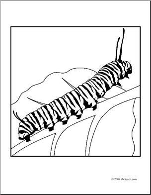 Clip Art: Butterfly: Monarch Caterpillar (coloring page)