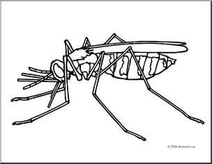 Clip Art: Insects: Mosquito (coloring page)